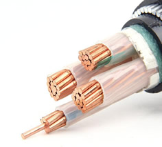 1KV铜芯钢丝铠装电力电缆